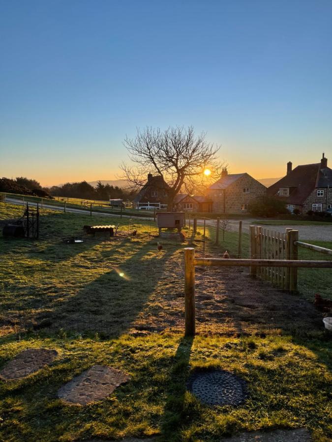 Bike Shed - Beautiful 1-Bed Cottage In Shorwell Exteriör bild